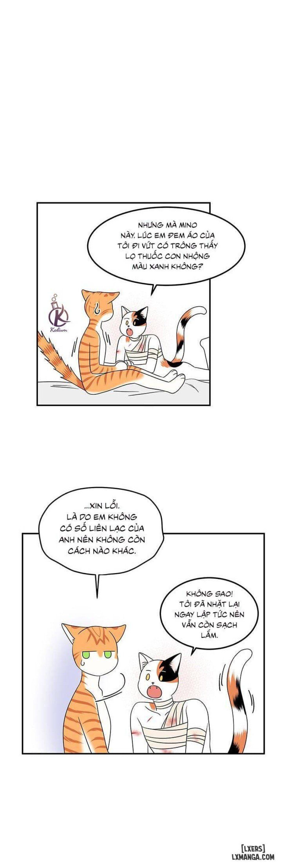 đọc truyện Dự Án Xanh Chương 23 ảnh 25 tại Thiên Thai Truyện