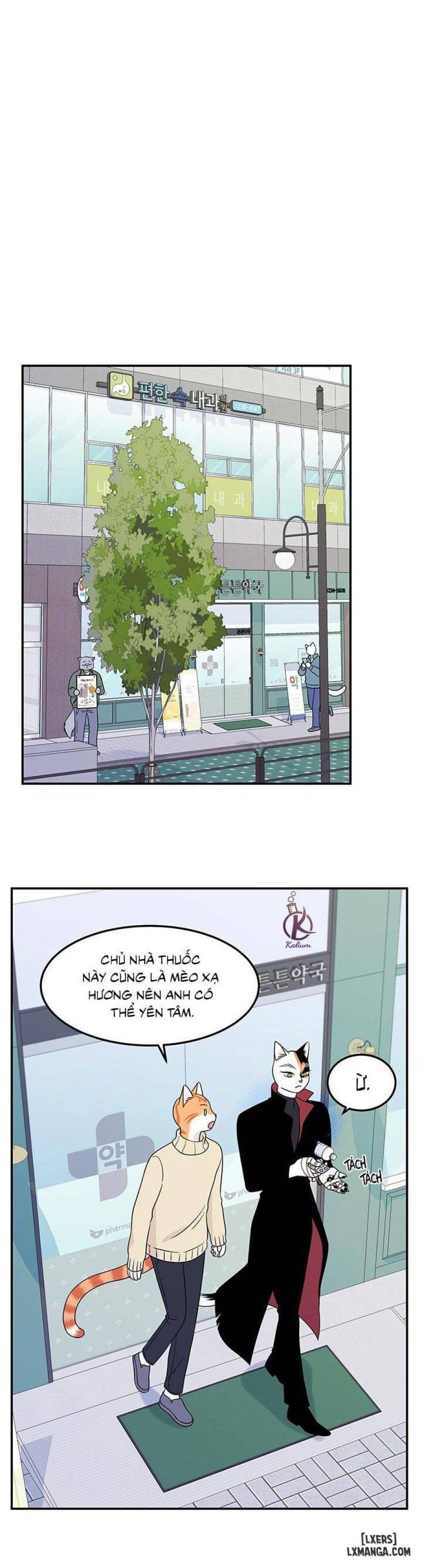 đọc truyện Dự Án Xanh Chương 23 ảnh 27 tại Thiên Thai Truyện