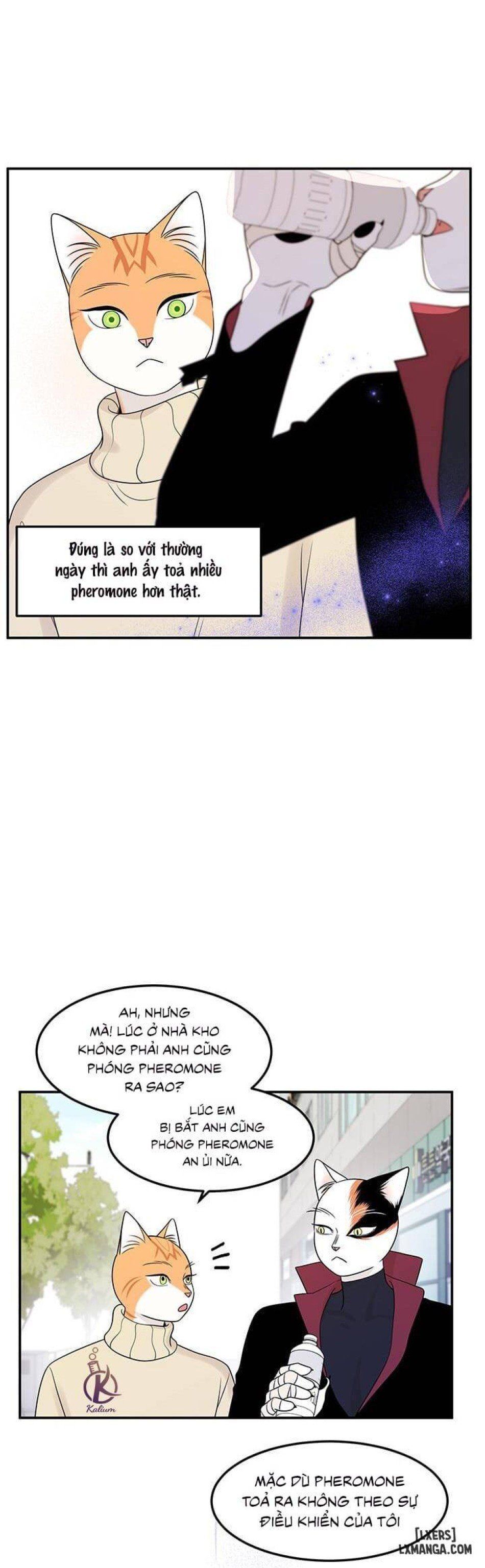 đọc truyện Dự Án Xanh Chương 23 ảnh 28 tại Thiên Thai Truyện