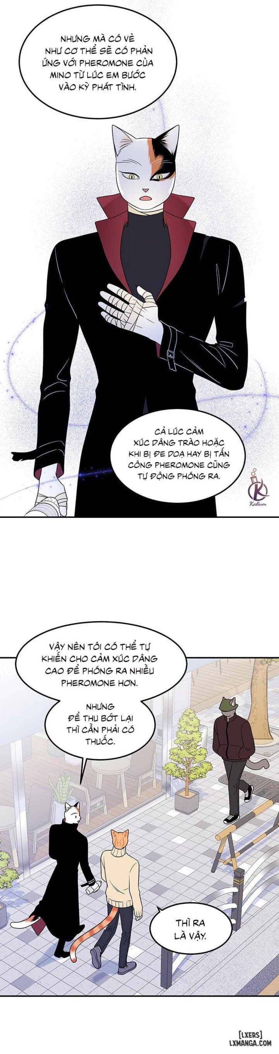 đọc truyện Dự Án Xanh Chương 23 ảnh 29 tại Thiên Thai Truyện