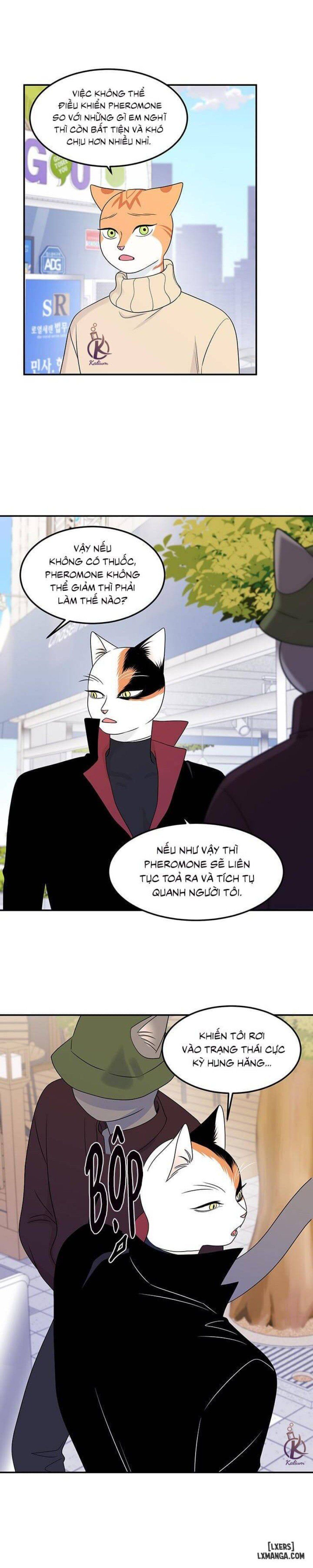 đọc truyện Dự Án Xanh Chương 23 ảnh 30 tại Thiên Thai Truyện