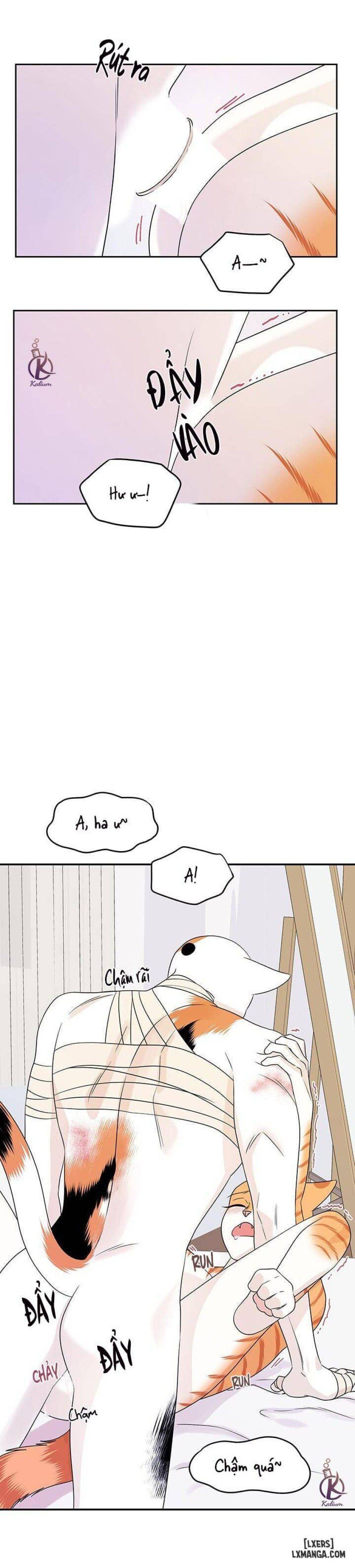 đọc truyện Dự Án Xanh Chương 23 ảnh 6 tại Thiên Thai Truyện