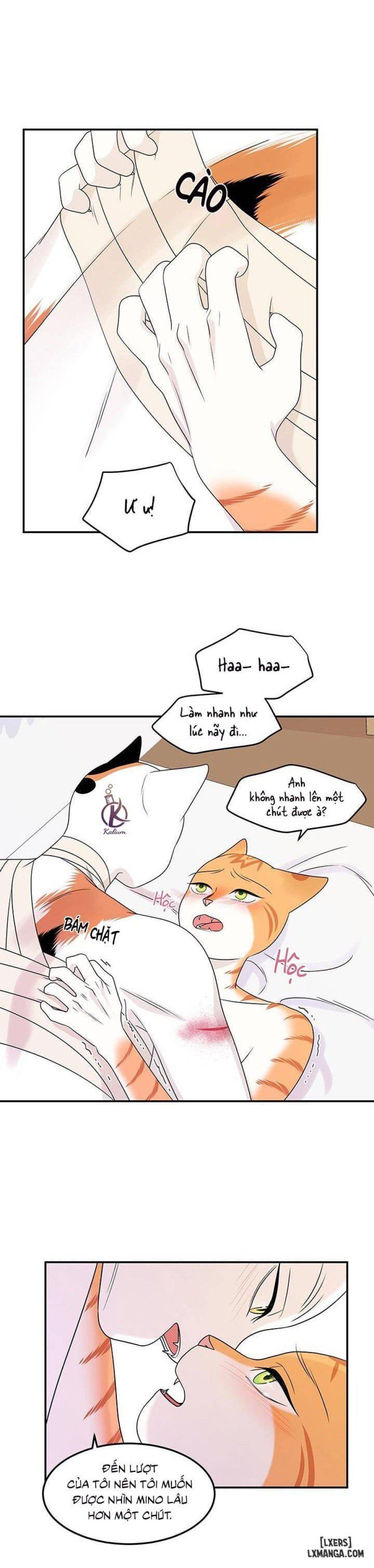 đọc truyện Dự Án Xanh Chương 23 ảnh 7 tại Thiên Thai Truyện