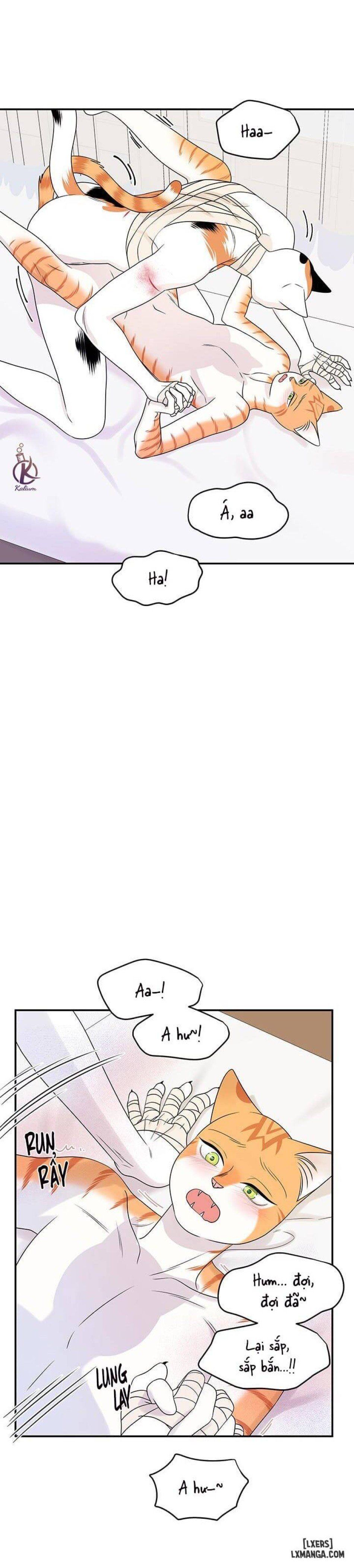 đọc truyện Dự Án Xanh Chương 23 ảnh 10 tại Thiên Thai Truyện