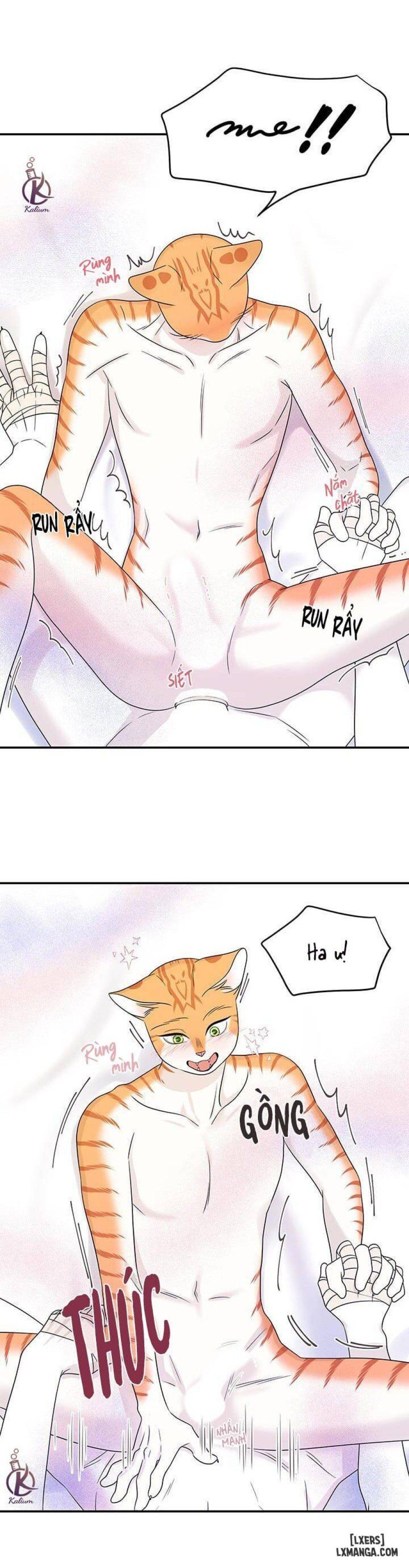 đọc truyện Dự Án Xanh Chương 23 ảnh 11 tại Thiên Thai Truyện