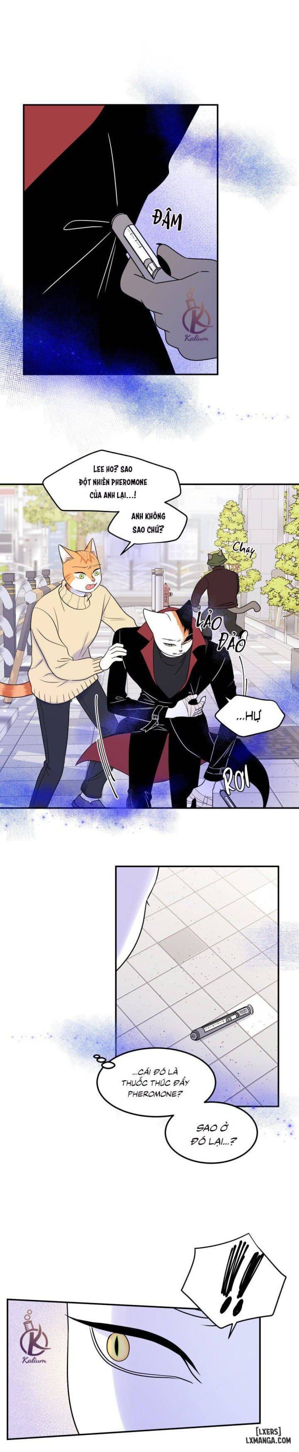 đọc truyện Dự Án Xanh Chương 24 ảnh 3 tại Thiên Thai Truyện