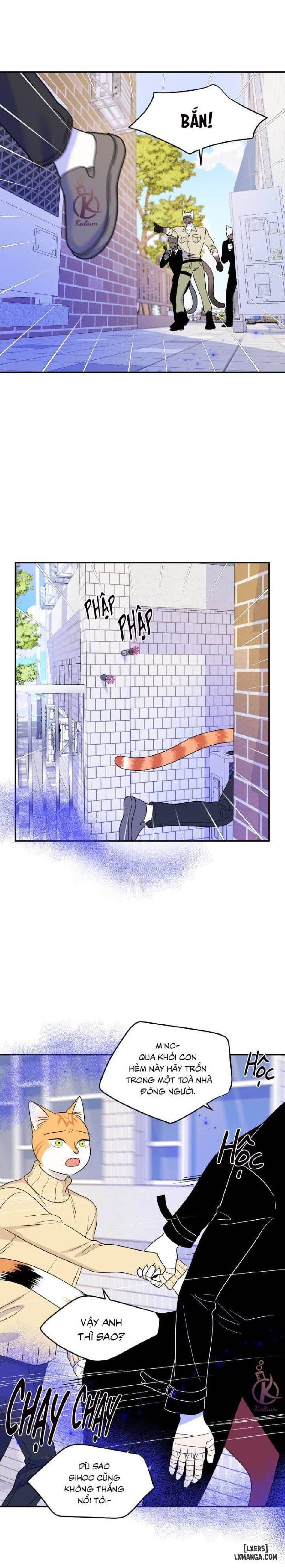 đọc truyện Dự Án Xanh Chương 24 ảnh 12 tại Thiên Thai Truyện