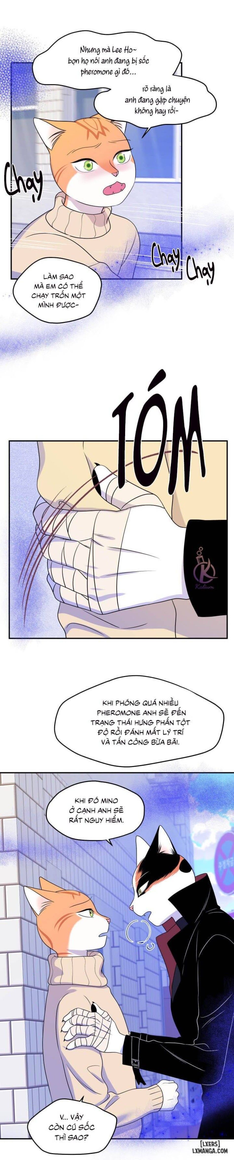 đọc truyện Dự Án Xanh Chương 24 ảnh 13 tại Thiên Thai Truyện