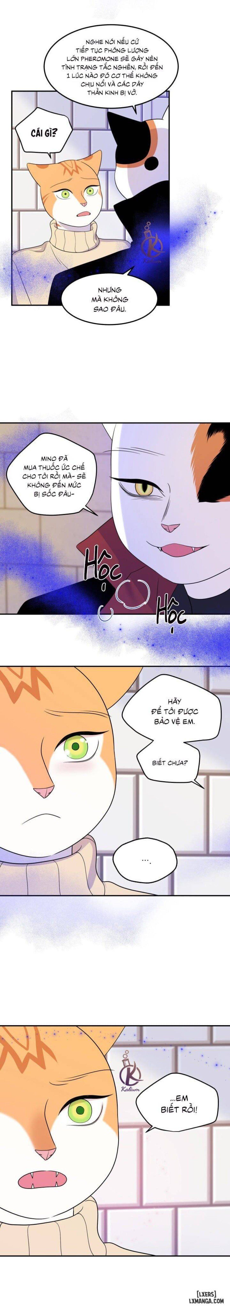 đọc truyện Dự Án Xanh Chương 24 ảnh 14 tại Thiên Thai Truyện