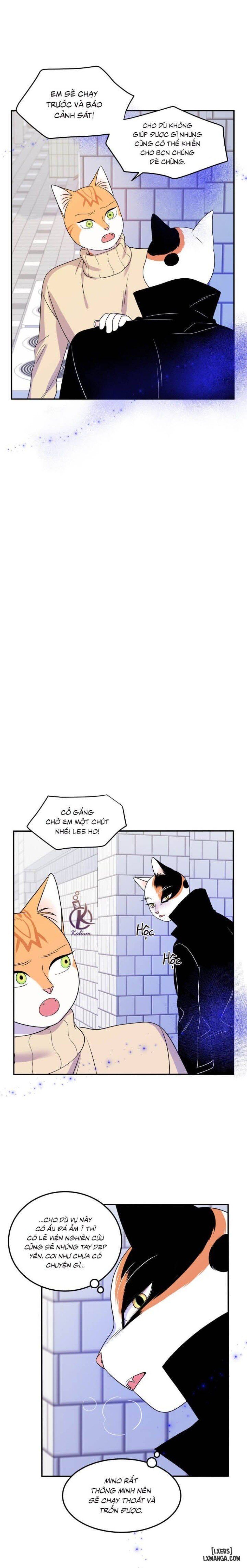 đọc truyện Dự Án Xanh Chương 24 ảnh 15 tại Thiên Thai Truyện