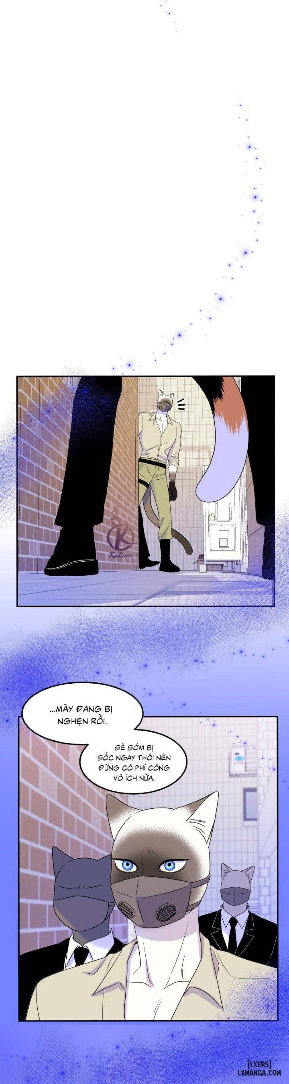 đọc truyện Dự Án Xanh Chương 24 ảnh 16 tại Thiên Thai Truyện