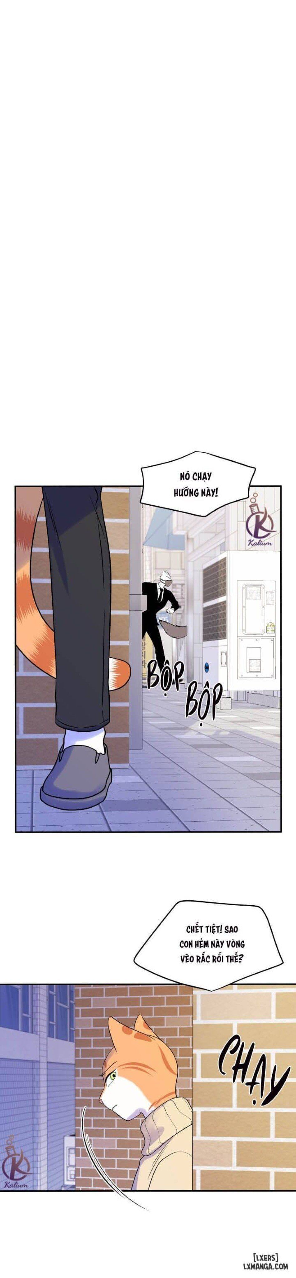 đọc truyện Dự Án Xanh Chương 24 ảnh 18 tại Thiên Thai Truyện