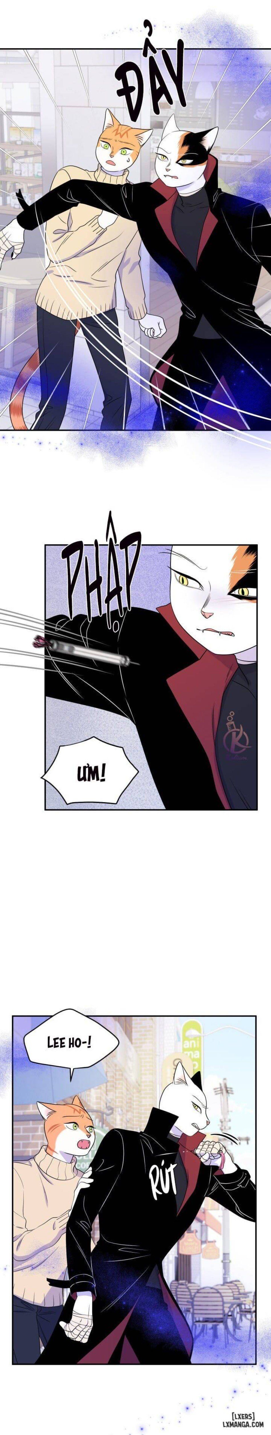 đọc truyện Dự Án Xanh Chương 24 ảnh 4 tại Thiên Thai Truyện