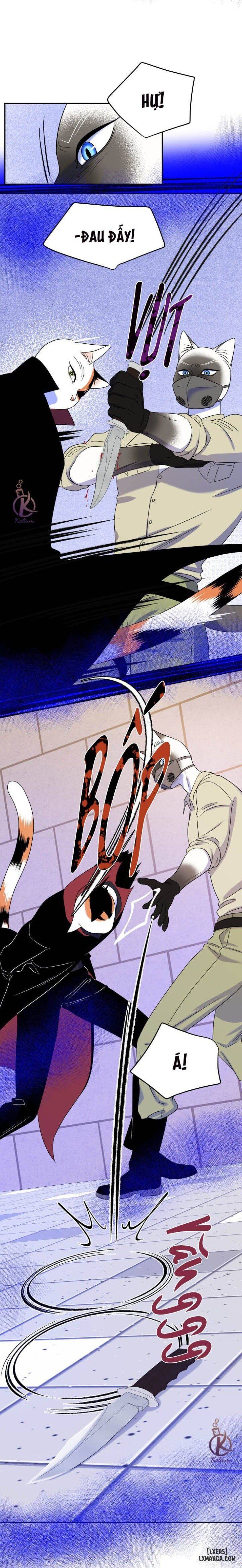 đọc truyện Dự Án Xanh Chương 24 ảnh 23 tại Thiên Thai Truyện