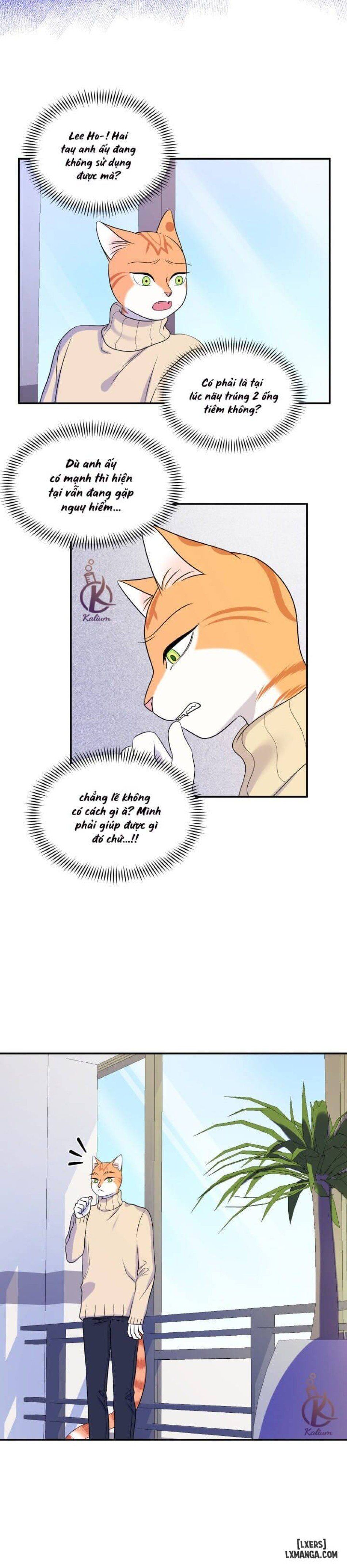 đọc truyện Dự Án Xanh Chương 24 ảnh 24 tại Thiên Thai Truyện