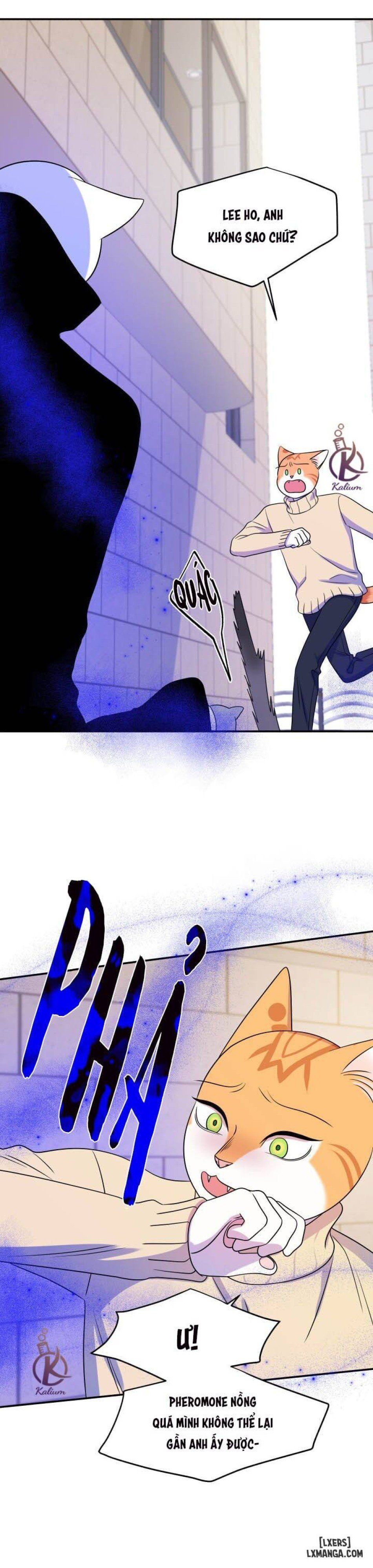 đọc truyện Dự Án Xanh Chương 24 ảnh 31 tại Thiên Thai Truyện