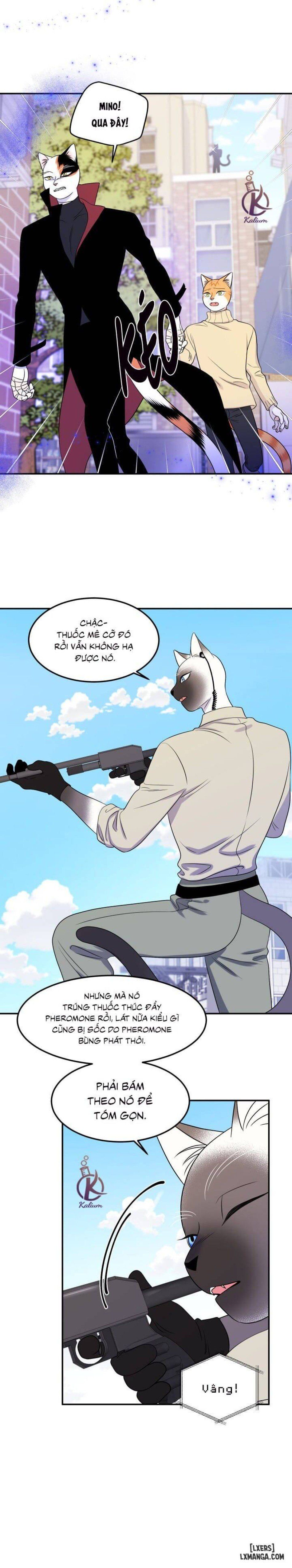 đọc truyện Dự Án Xanh Chương 24 ảnh 5 tại Thiên Thai Truyện