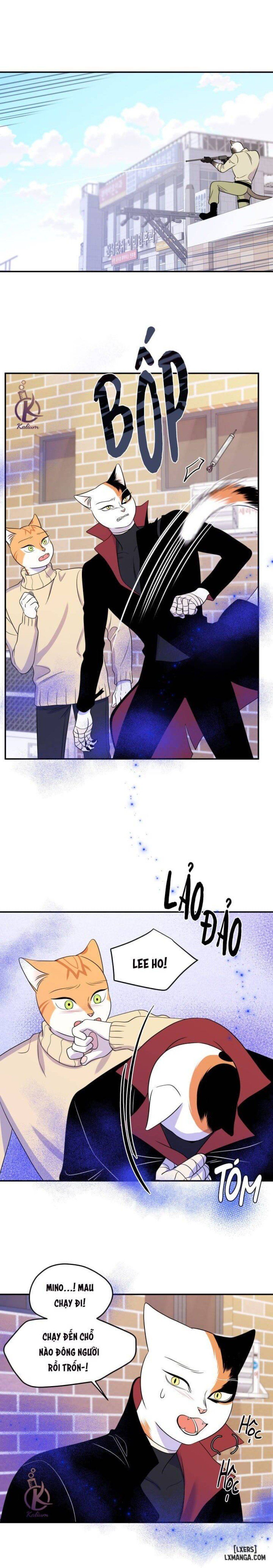 đọc truyện Dự Án Xanh Chương 24 ảnh 6 tại Thiên Thai Truyện