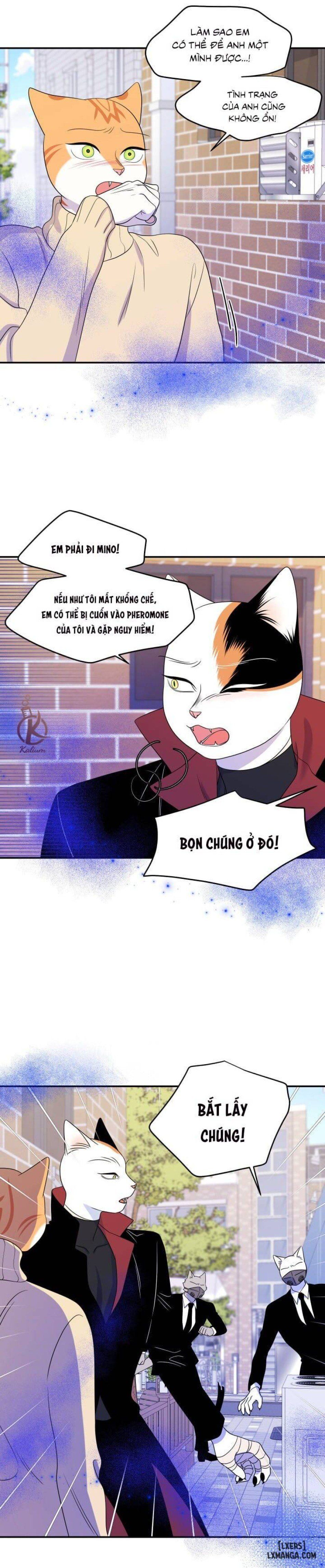 đọc truyện Dự Án Xanh Chương 24 ảnh 7 tại Thiên Thai Truyện