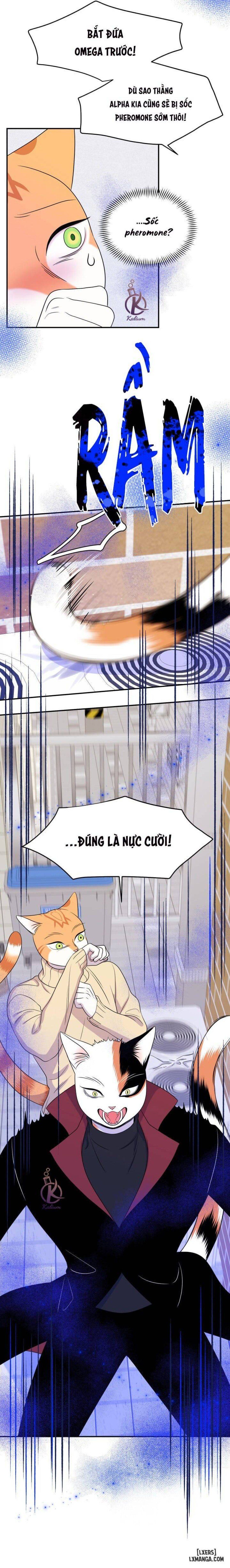 đọc truyện Dự Án Xanh Chương 24 ảnh 8 tại Thiên Thai Truyện