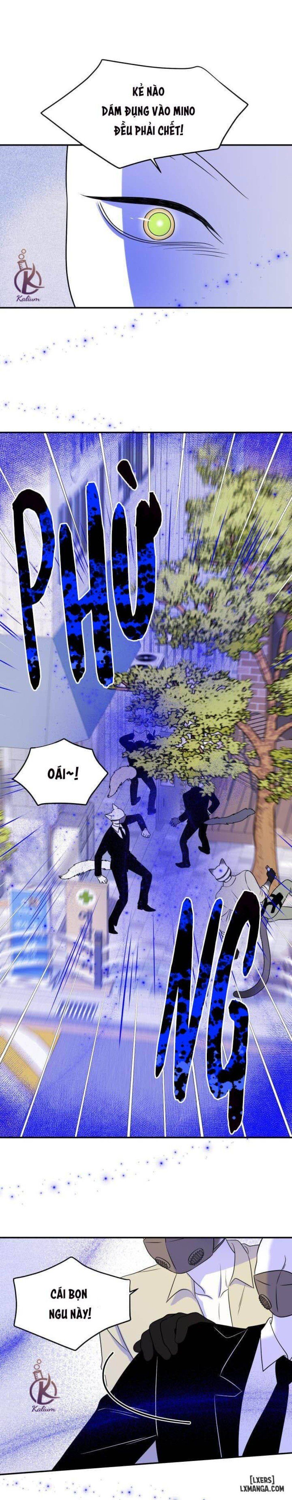 đọc truyện Dự Án Xanh Chương 24 ảnh 9 tại Thiên Thai Truyện