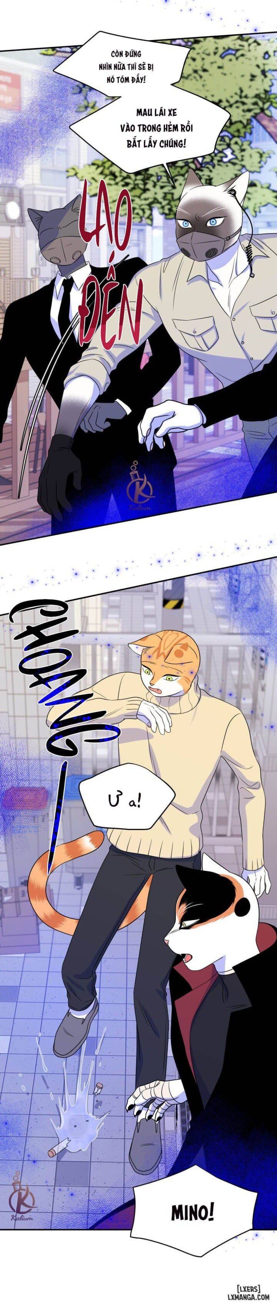 đọc truyện Dự Án Xanh Chương 24 ảnh 10 tại Thiên Thai Truyện