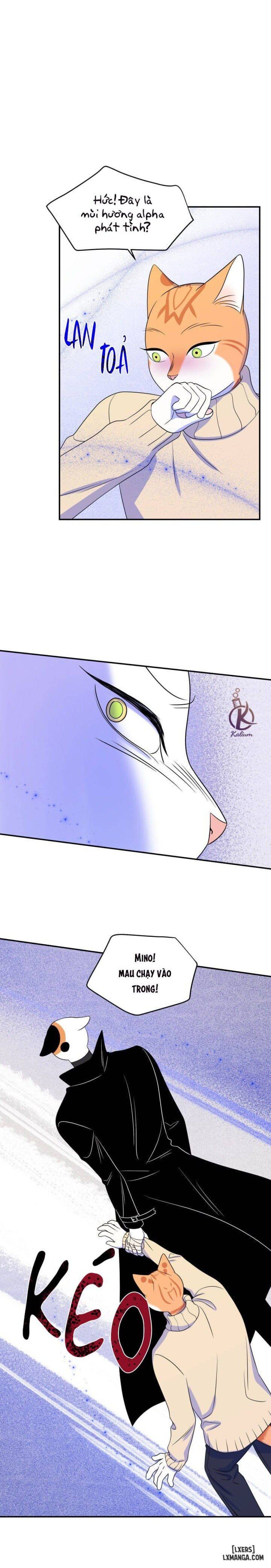 đọc truyện Dự Án Xanh Chương 24 ảnh 11 tại Thiên Thai Truyện