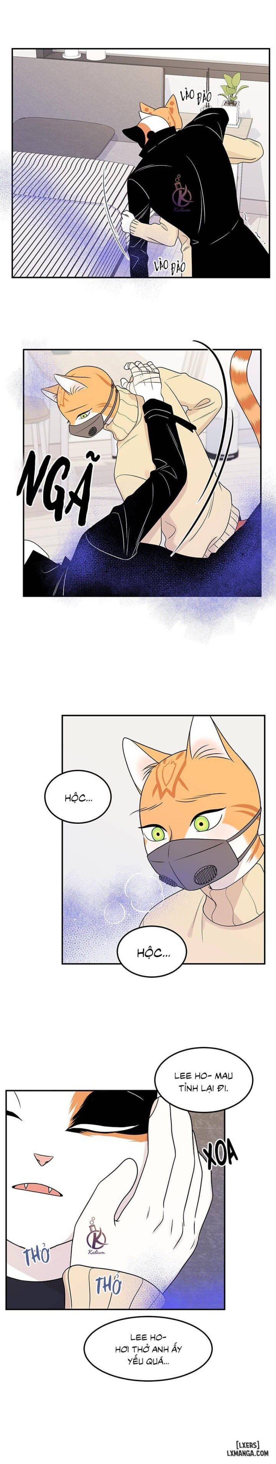 đọc truyện Dự Án Xanh Chương 25 ảnh 3 tại Thiên Thai Truyện