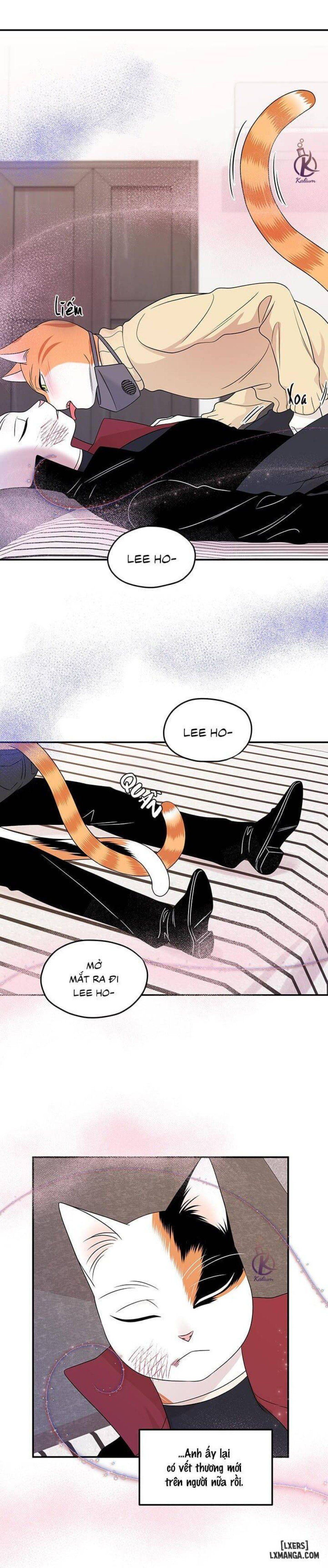 đọc truyện Dự Án Xanh Chương 25 ảnh 13 tại Thiên Thai Truyện