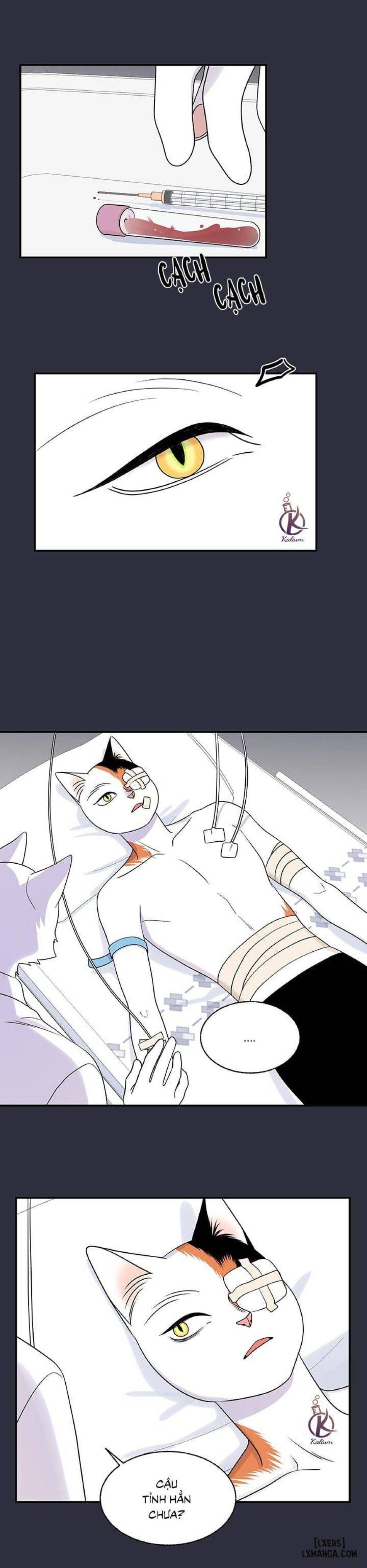 đọc truyện Dự Án Xanh Chương 25 ảnh 16 tại Thiên Thai Truyện