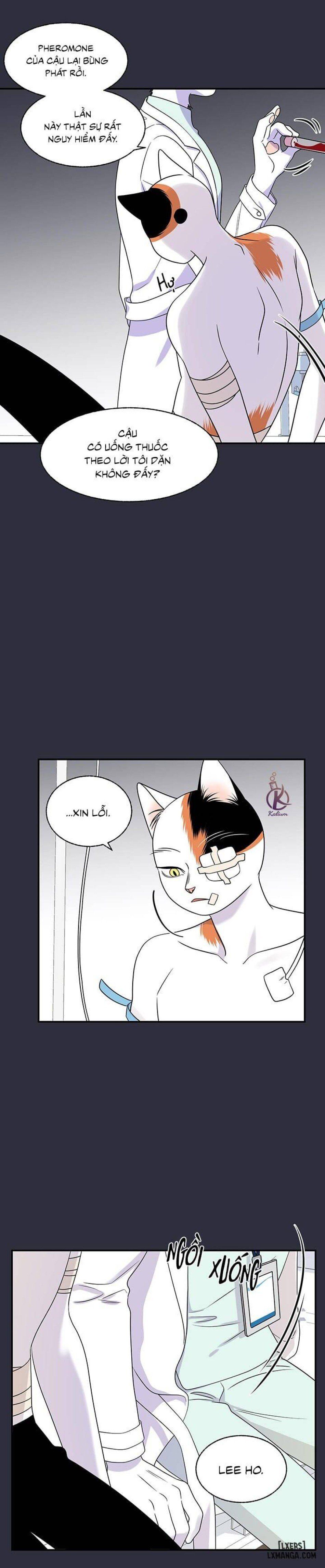 đọc truyện Dự Án Xanh Chương 25 ảnh 17 tại Thiên Thai Truyện