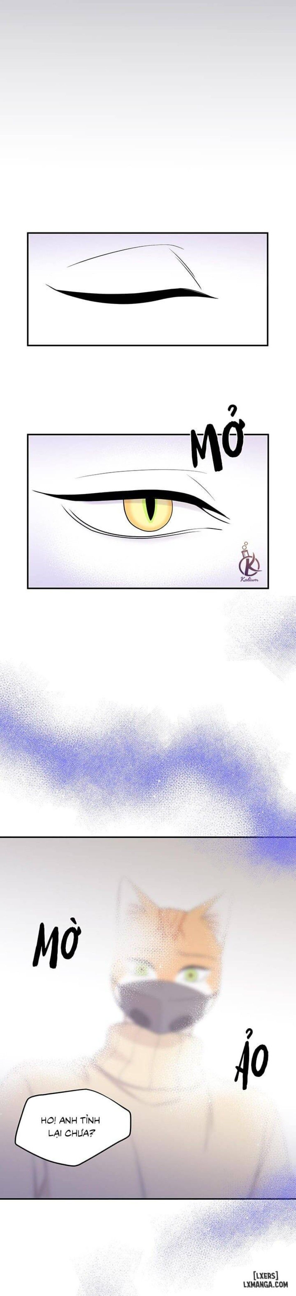 đọc truyện Dự Án Xanh Chương 25 ảnh 20 tại Thiên Thai Truyện