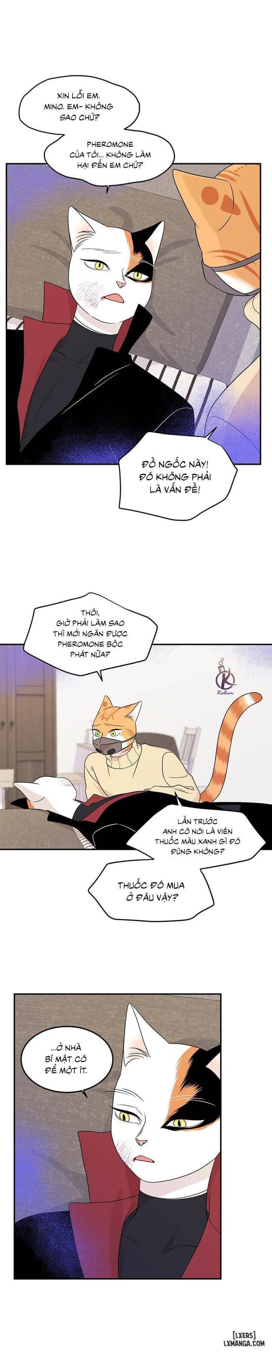 đọc truyện Dự Án Xanh Chương 25 ảnh 22 tại Thiên Thai Truyện