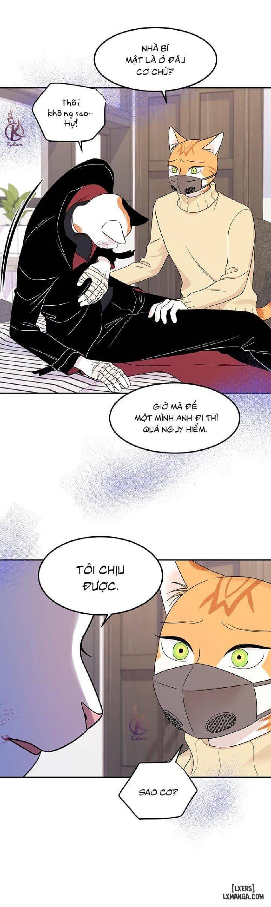 đọc truyện Dự Án Xanh Chương 25 ảnh 23 tại Thiên Thai Truyện