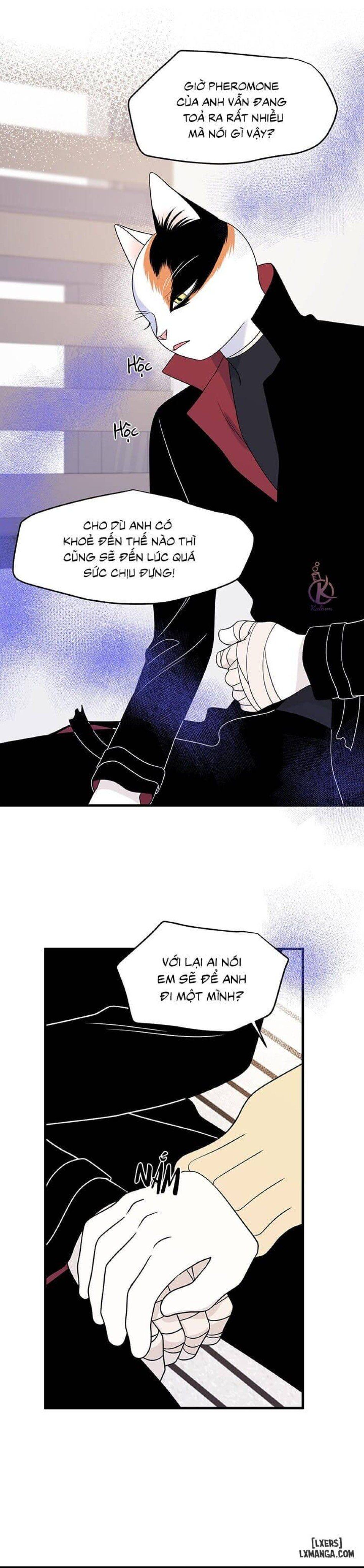 đọc truyện Dự Án Xanh Chương 25 ảnh 24 tại Thiên Thai Truyện