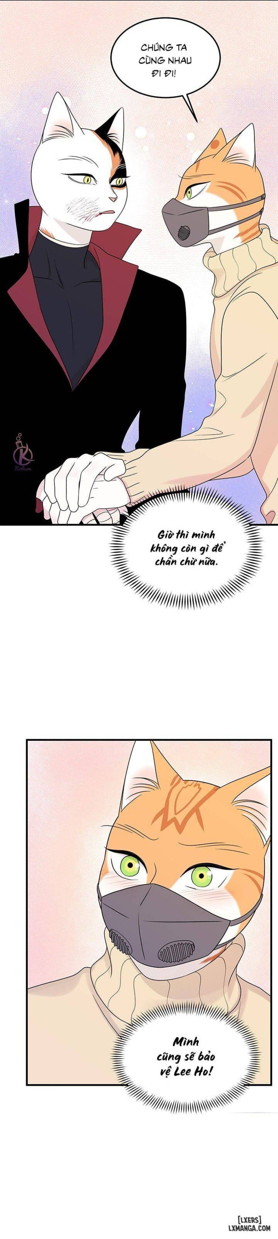 đọc truyện Dự Án Xanh Chương 25 ảnh 25 tại Thiên Thai Truyện