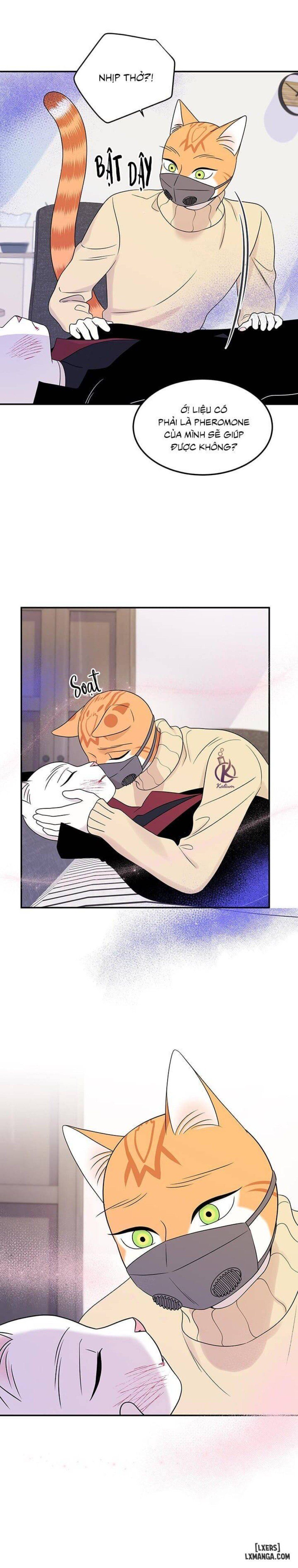 đọc truyện Dự Án Xanh Chương 25 ảnh 5 tại Thiên Thai Truyện