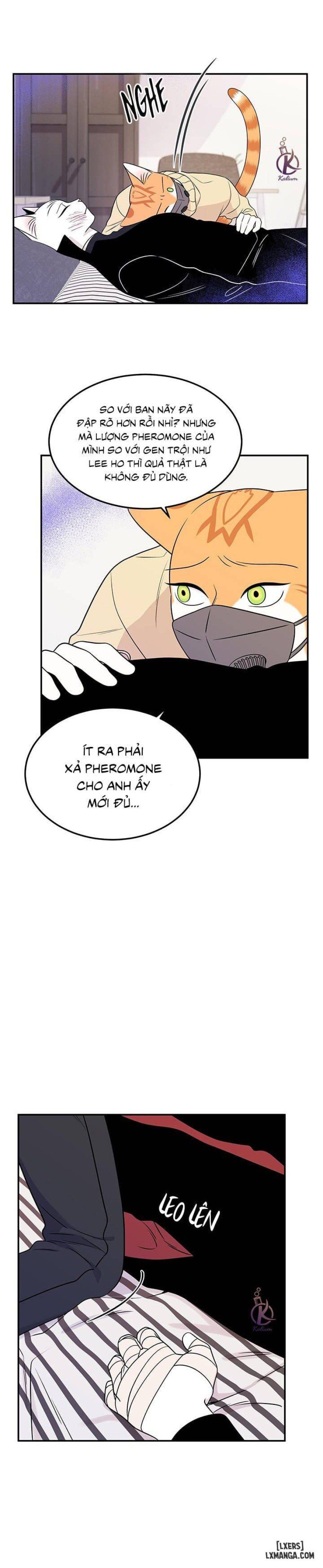 đọc truyện Dự Án Xanh Chương 25 ảnh 6 tại Thiên Thai Truyện