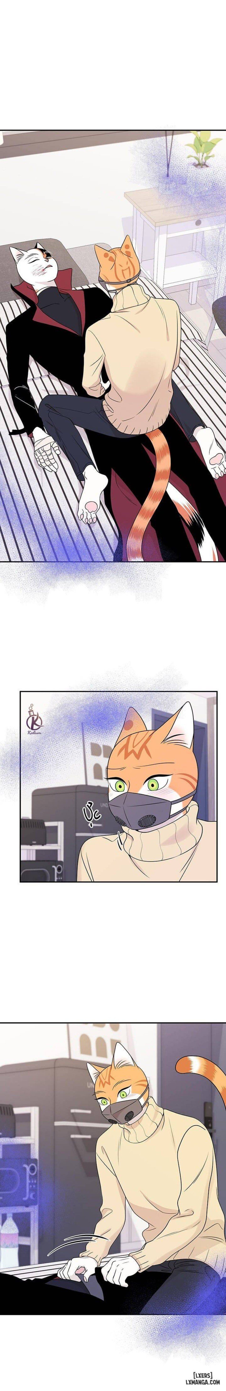 đọc truyện Dự Án Xanh Chương 25 ảnh 7 tại Thiên Thai Truyện