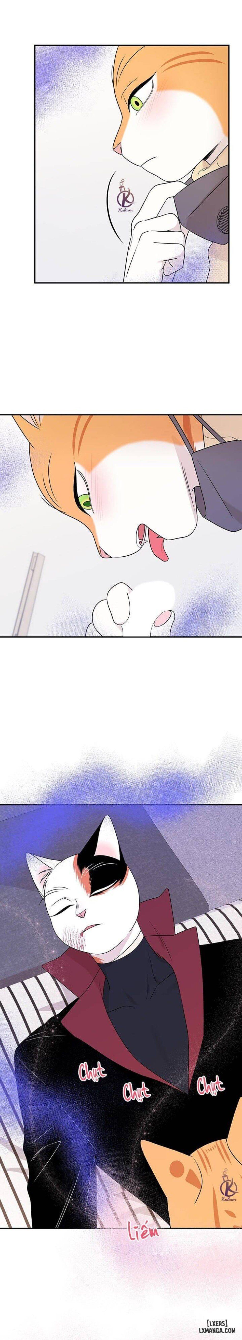 đọc truyện Dự Án Xanh Chương 25 ảnh 8 tại Thiên Thai Truyện