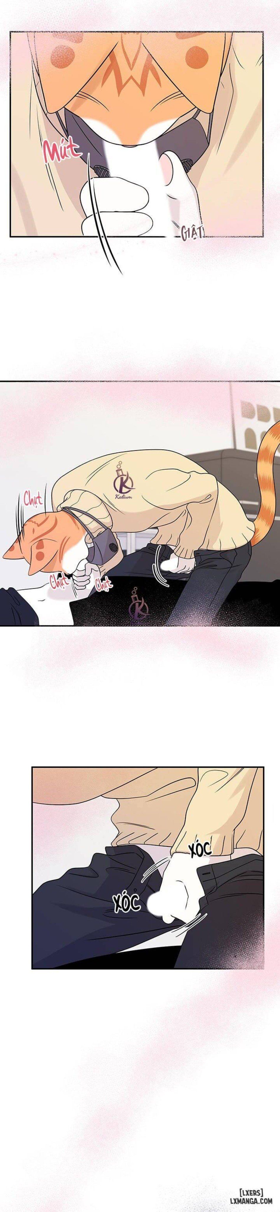 đọc truyện Dự Án Xanh Chương 25 ảnh 9 tại Thiên Thai Truyện