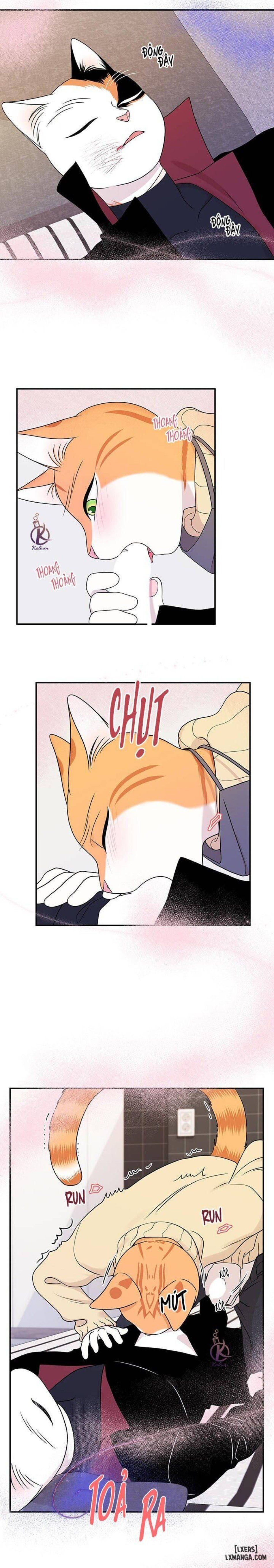 đọc truyện Dự Án Xanh Chương 25 ảnh 10 tại Thiên Thai Truyện