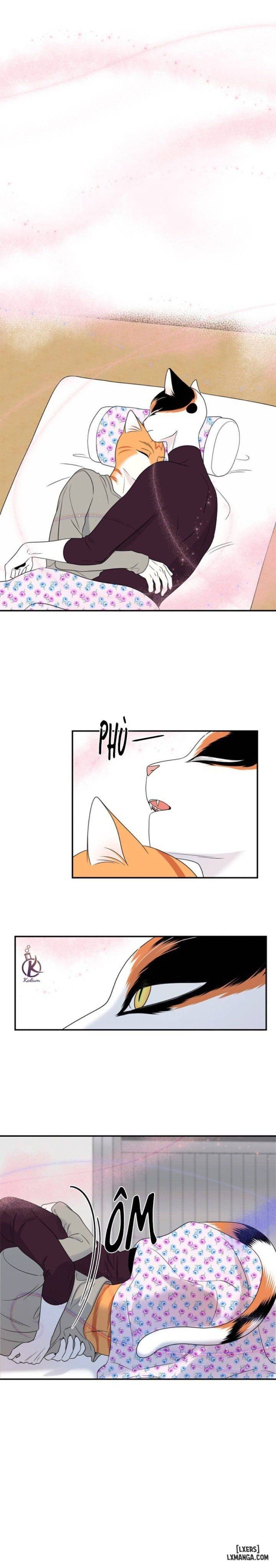 đọc truyện Dự Án Xanh Chương 26 ảnh 15 tại Thiên Thai Truyện