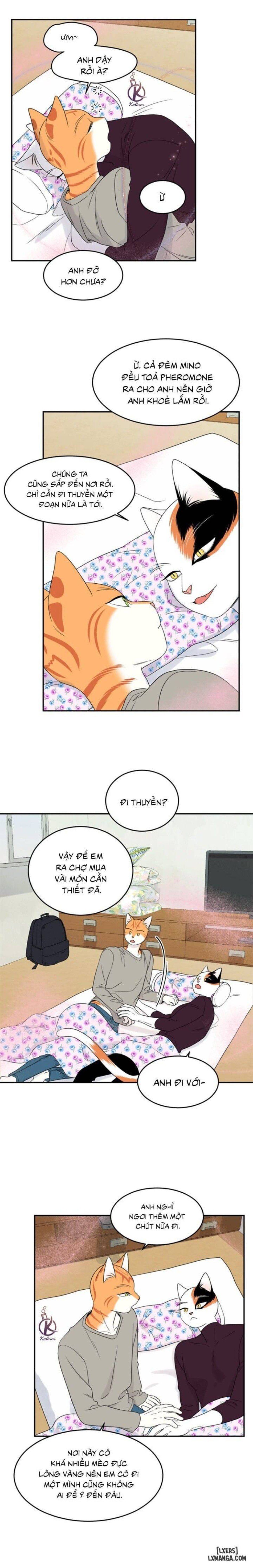 đọc truyện Dự Án Xanh Chương 26 ảnh 16 tại Thiên Thai Truyện