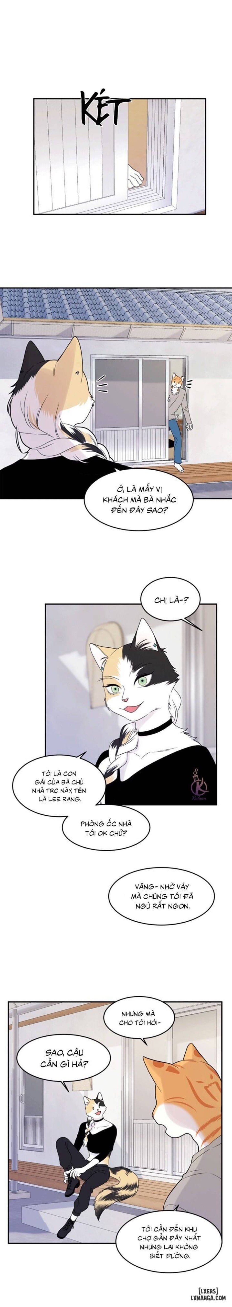 đọc truyện Dự Án Xanh Chương 26 ảnh 17 tại Thiên Thai Truyện