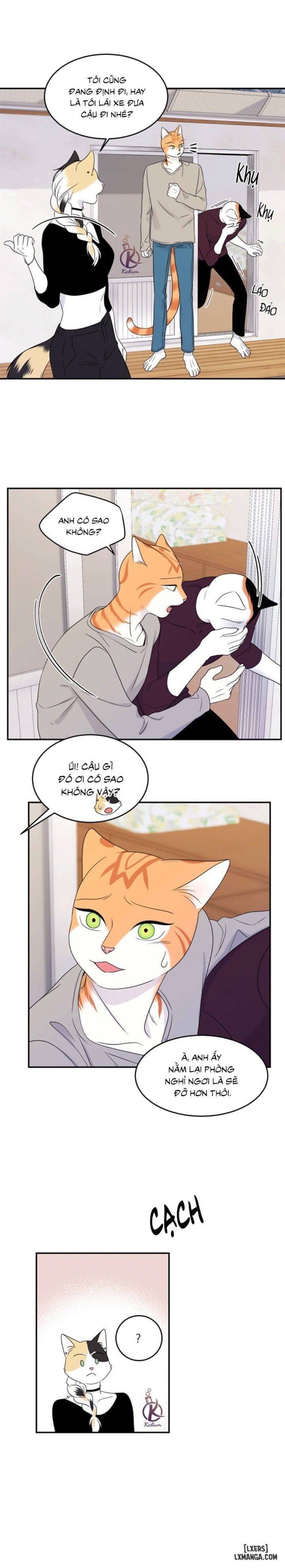 đọc truyện Dự Án Xanh Chương 26 ảnh 18 tại Thiên Thai Truyện