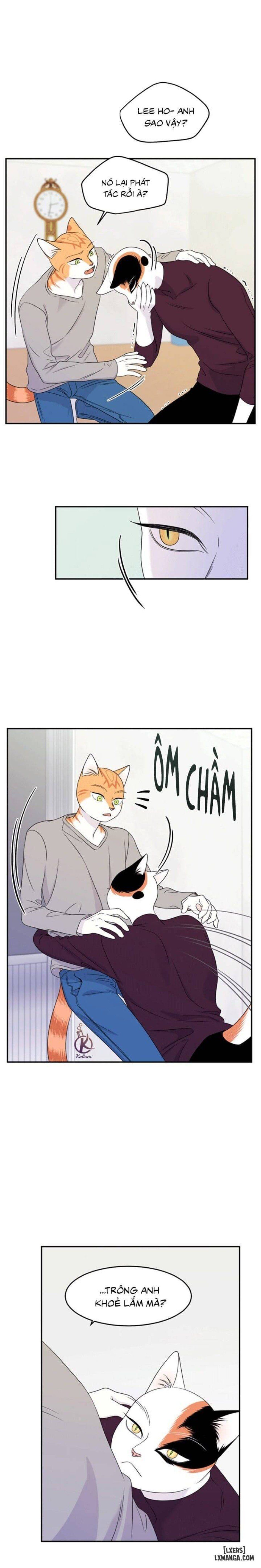 đọc truyện Dự Án Xanh Chương 26 ảnh 19 tại Thiên Thai Truyện