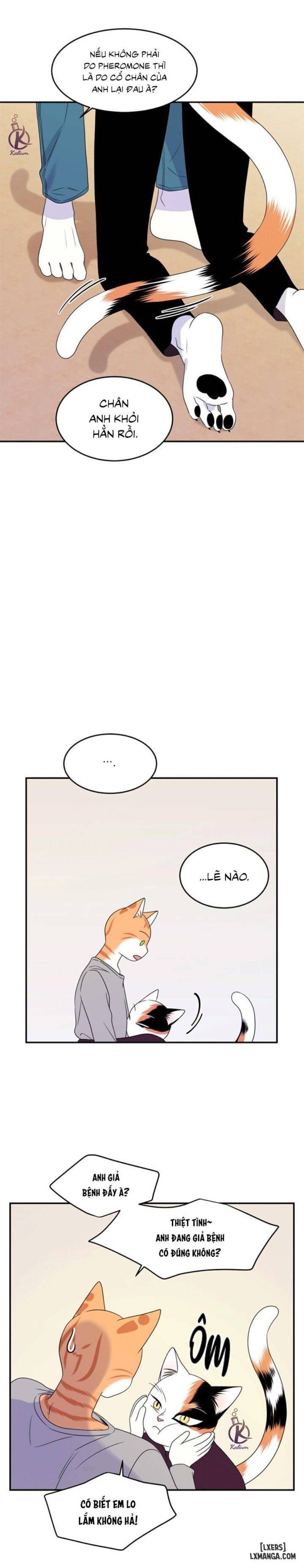 đọc truyện Dự Án Xanh Chương 26 ảnh 20 tại Thiên Thai Truyện