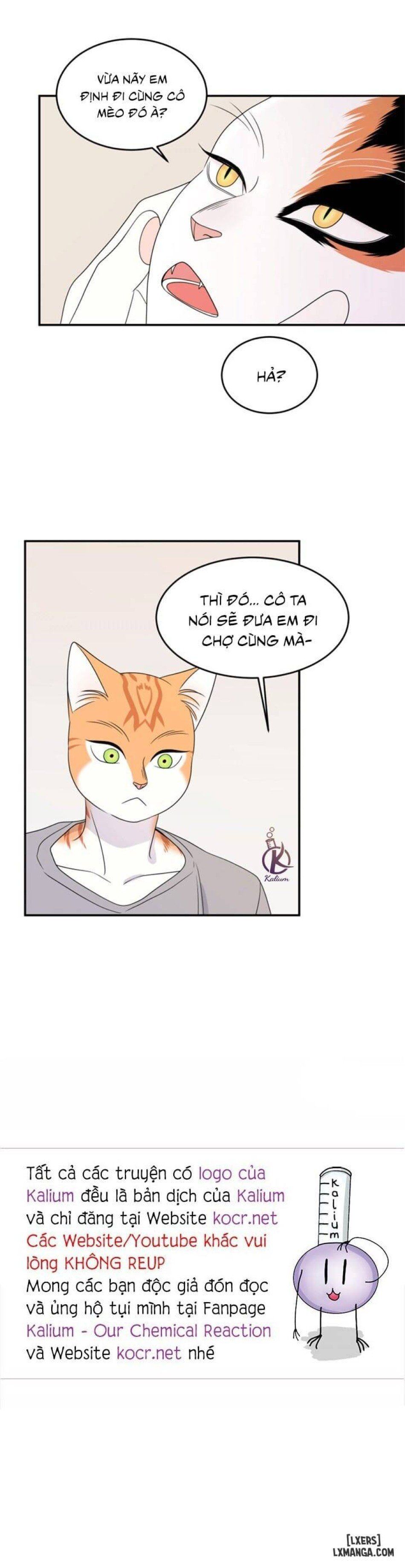 đọc truyện Dự Án Xanh Chương 26 ảnh 21 tại Thiên Thai Truyện