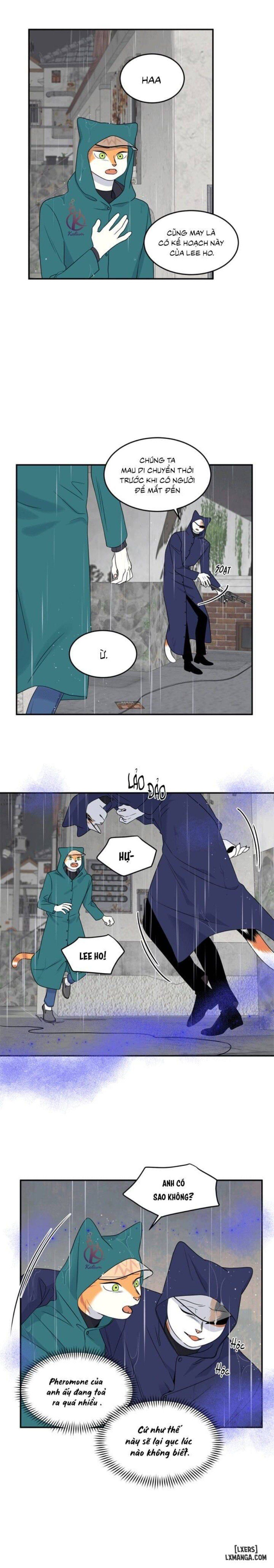 đọc truyện Dự Án Xanh Chương 26 ảnh 4 tại Thiên Thai Truyện